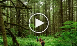 ترفندهای که می‌تواند در طبیعت گردی به شما کمک کند + فیلم